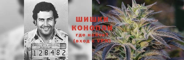 хмурый Арсеньев