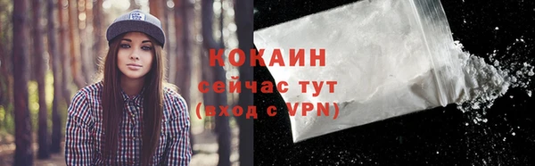 хмурый Арсеньев