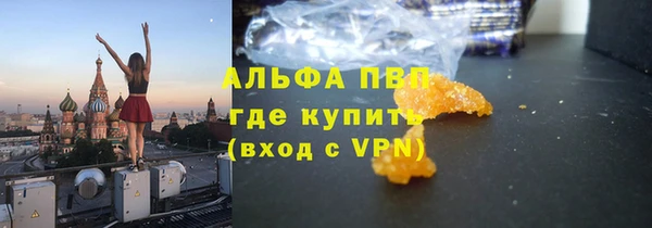 spice Аркадак