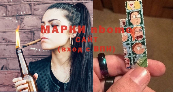 хмурый Арсеньев