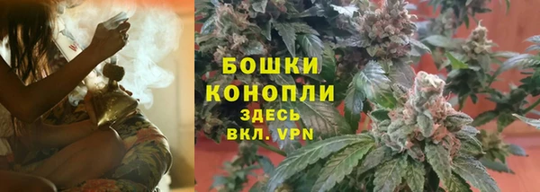 spice Аркадак