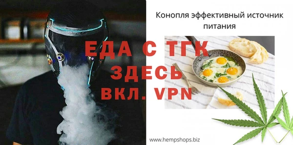 хмурый Арсеньев
