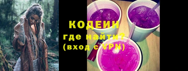 хмурый Арсеньев