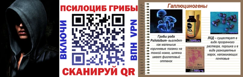Псилоцибиновые грибы ЛСД  гидра маркетплейс  Сосновка 